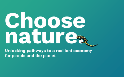 NetworkNature Annual Event 2025 | Choose Nature